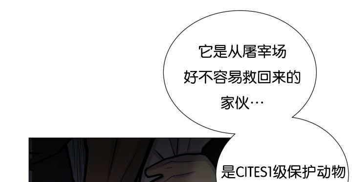 第36章：是爱情吗56