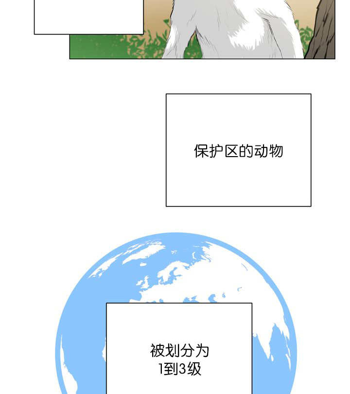 第11章：牺牲自由46