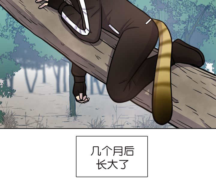 第73章：给我带路53