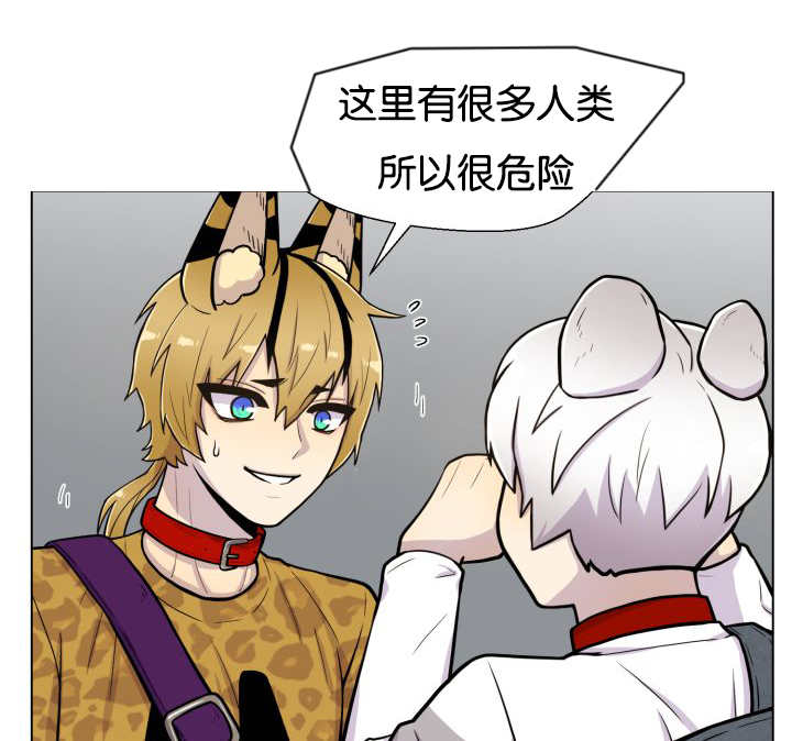第46章：别耍花招0