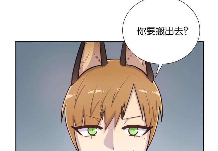 第62章：怕弄疼我12