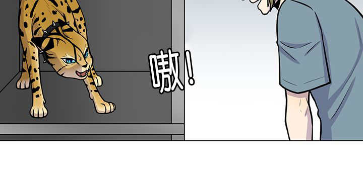 第1章：好好表现23