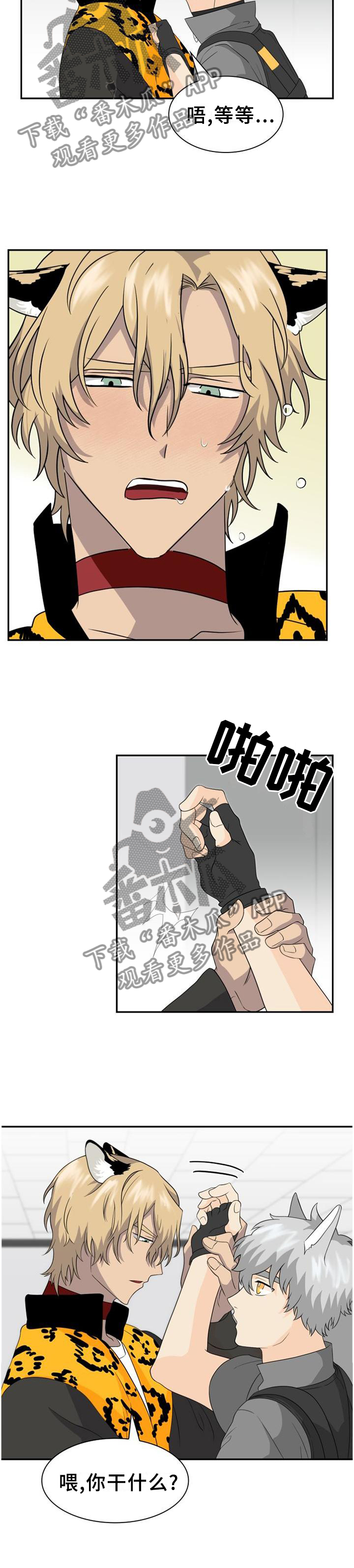 第117章：【第二季】天然呆2