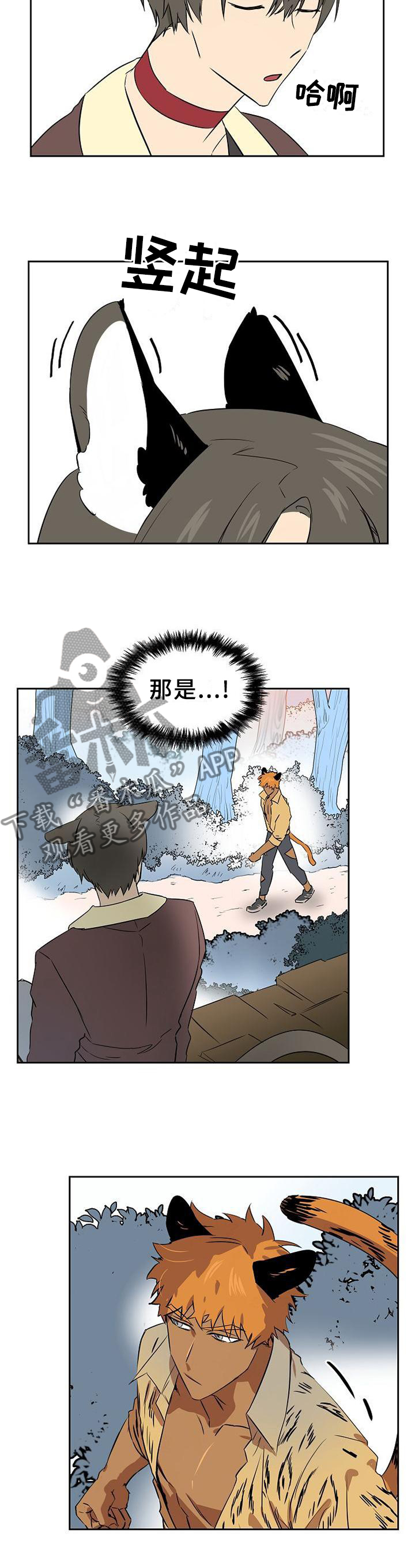 第135章：【第二季】不敢直面的心4