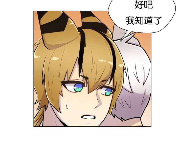 第46章：别耍花招13