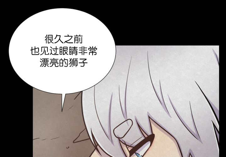 第62章：怕弄疼我41