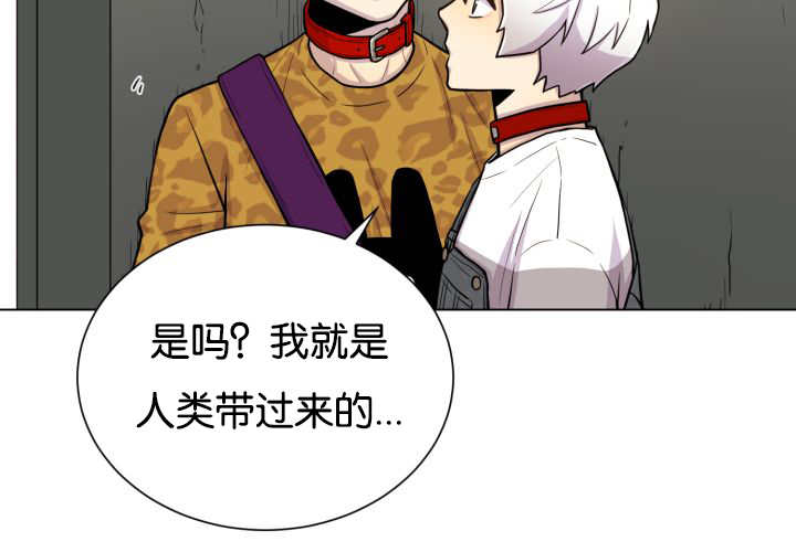 第46章：别耍花招16