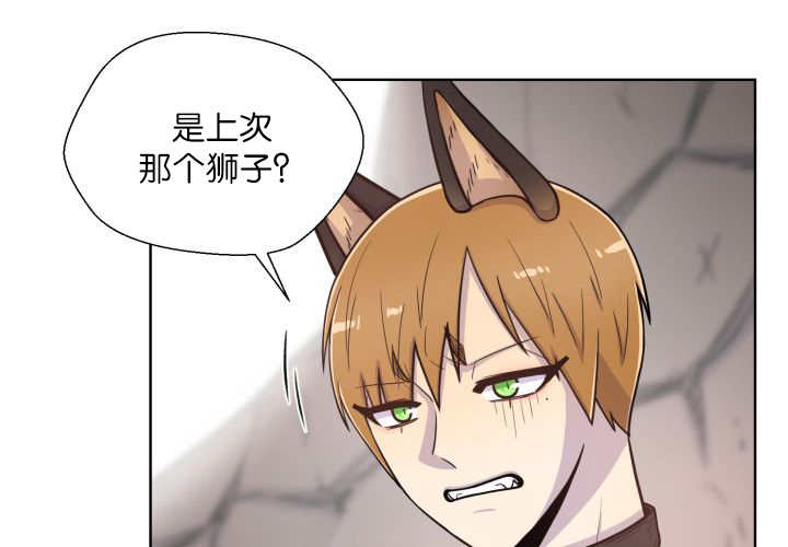 第62章：怕弄疼我17