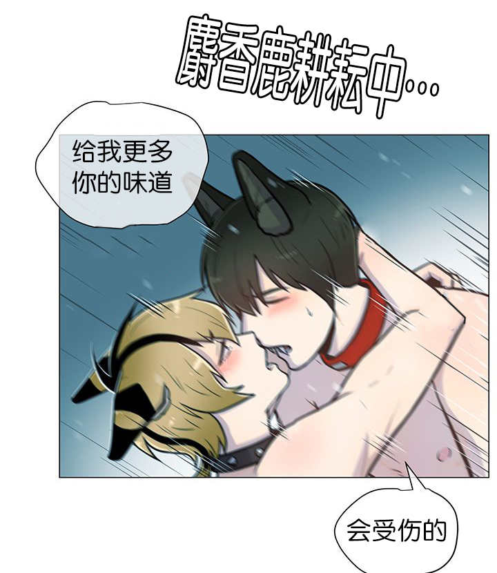 第8章：缠了上来5