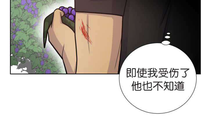 第75章：早该知道59