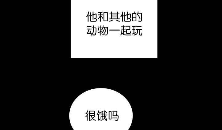 第83章：只看着我41
