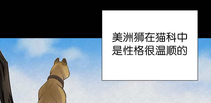第53章：确认领地2