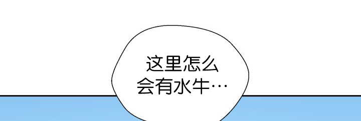 第82章：找不到我34