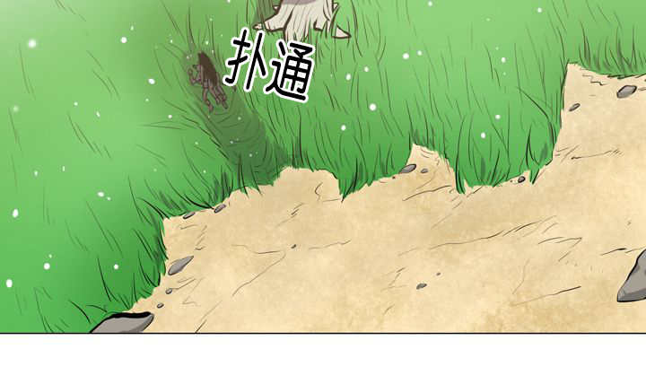 第12章：三天一次22