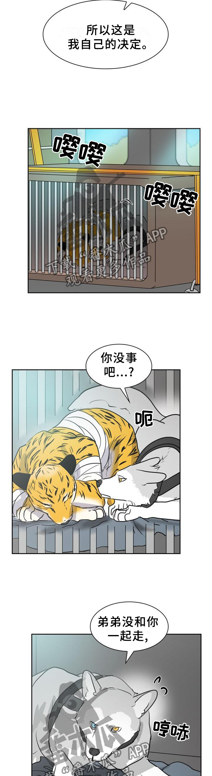 第138章：【第二季】什么样的选择都好10