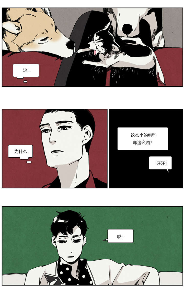 第23章：纠结患者7
