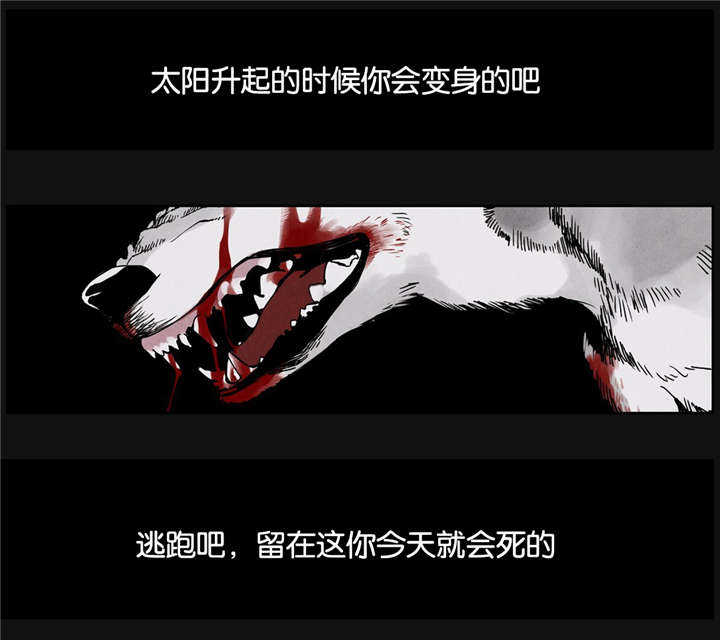 第19章：两狗会谈11