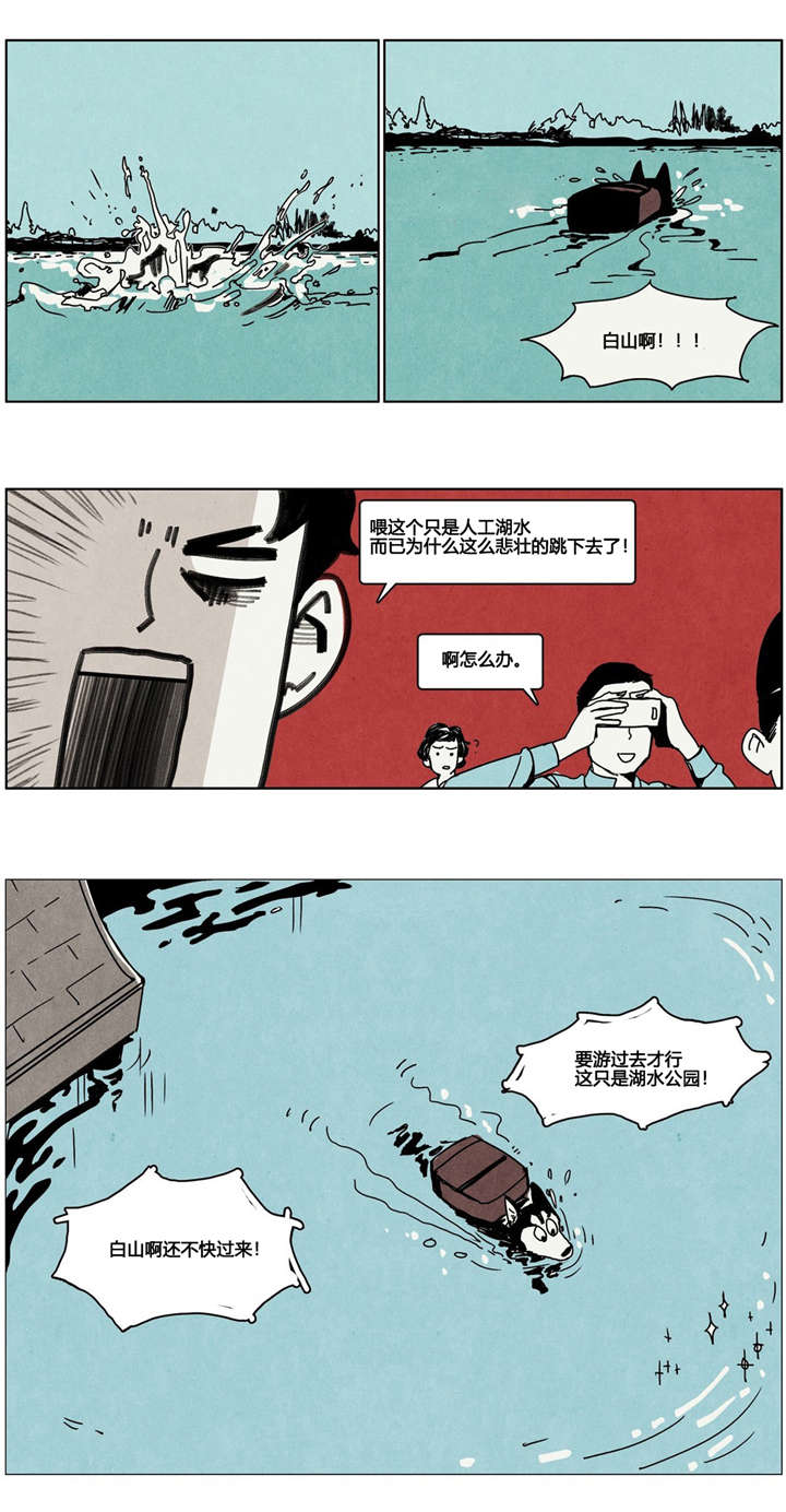 第5章：狗狗寻家记11