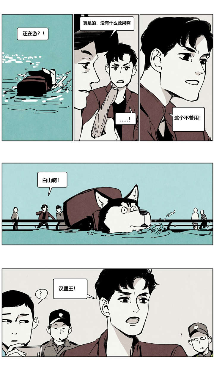 第6章：捞狗4
