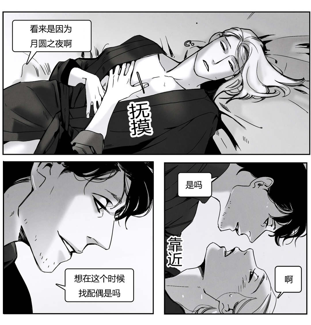 第49章：陌生的狗2