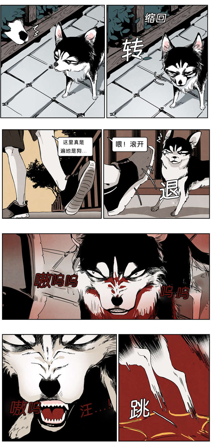 第33章：后果很严重2