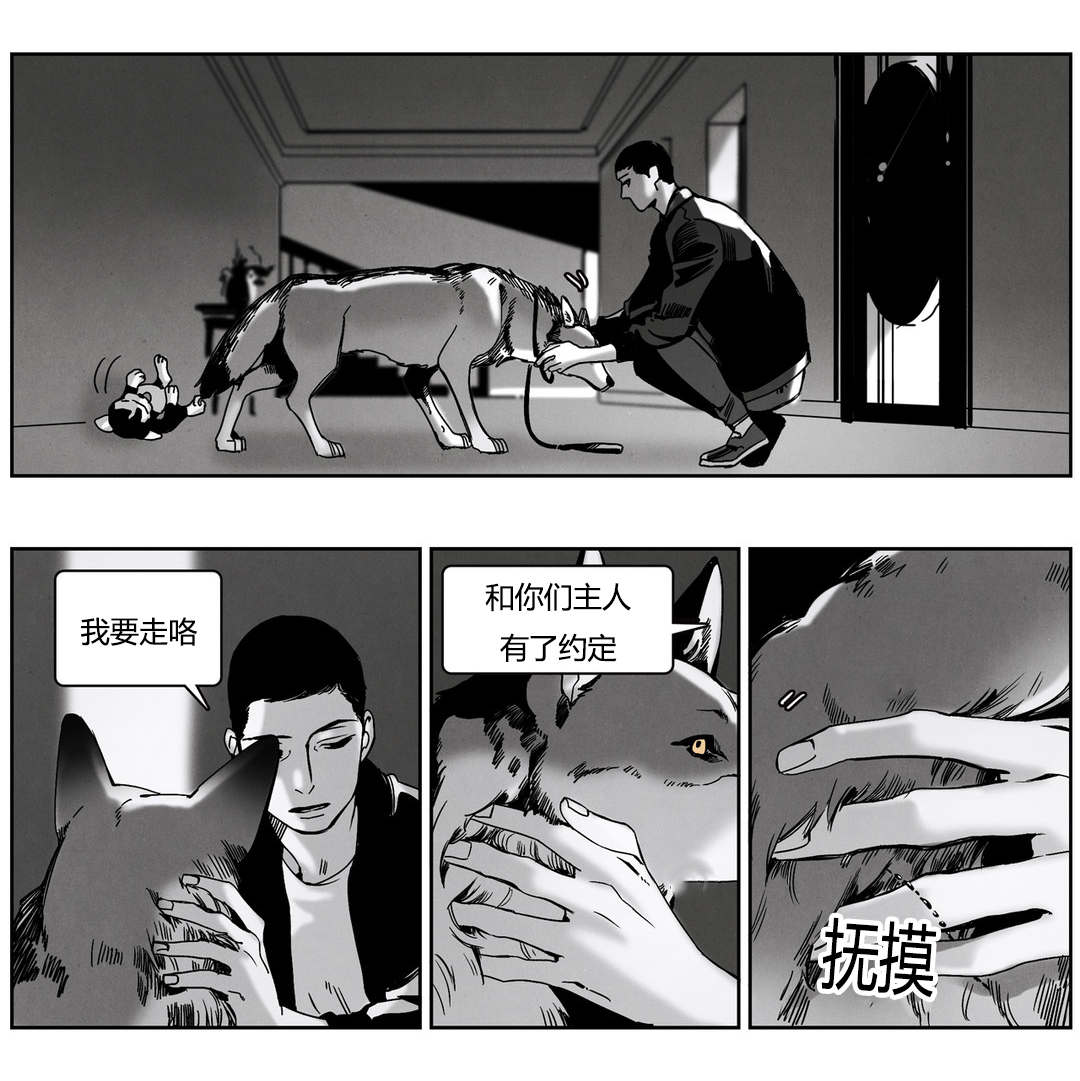 第50章：户外交接7