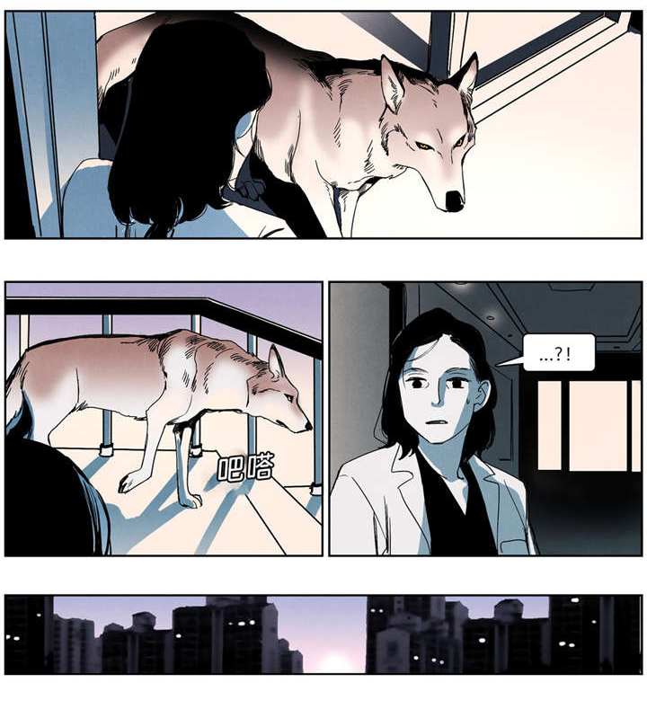第41章：出院7