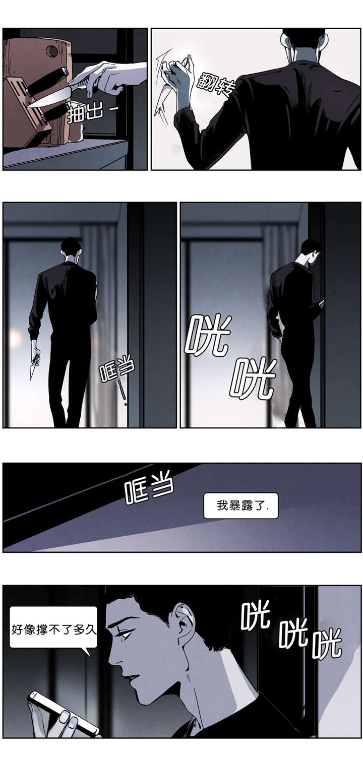 第38章：遭突袭9