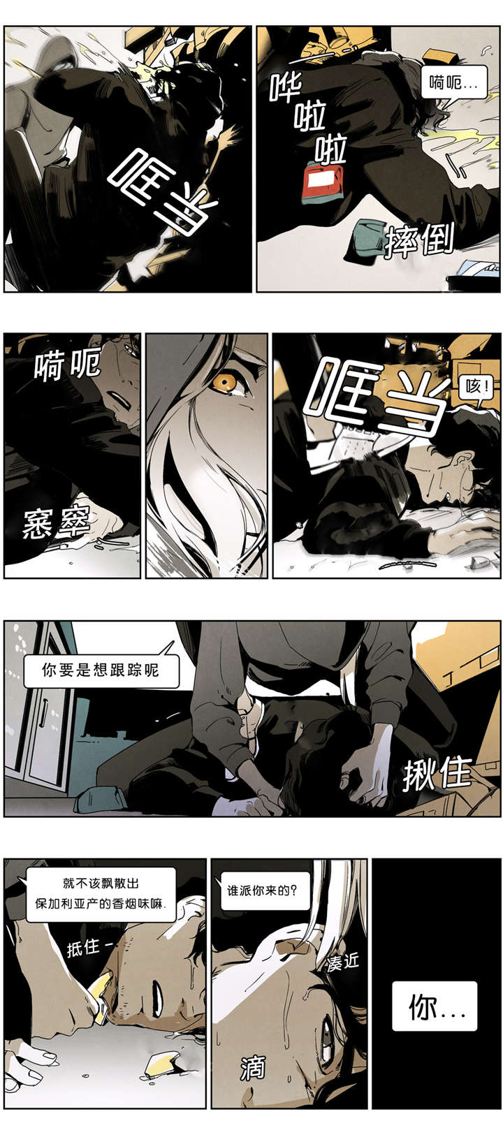 第38章：遭突袭5