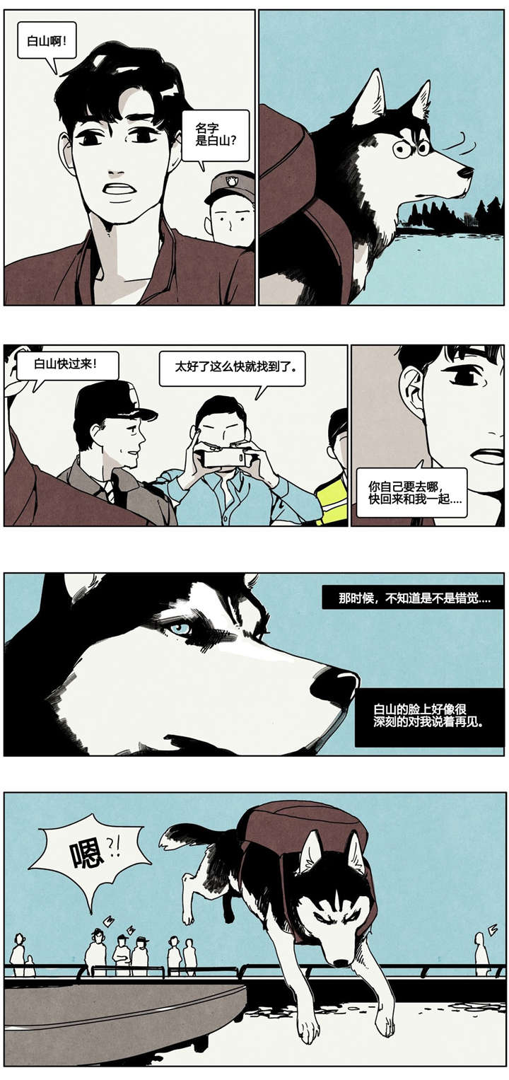 第5章：狗狗寻家记10