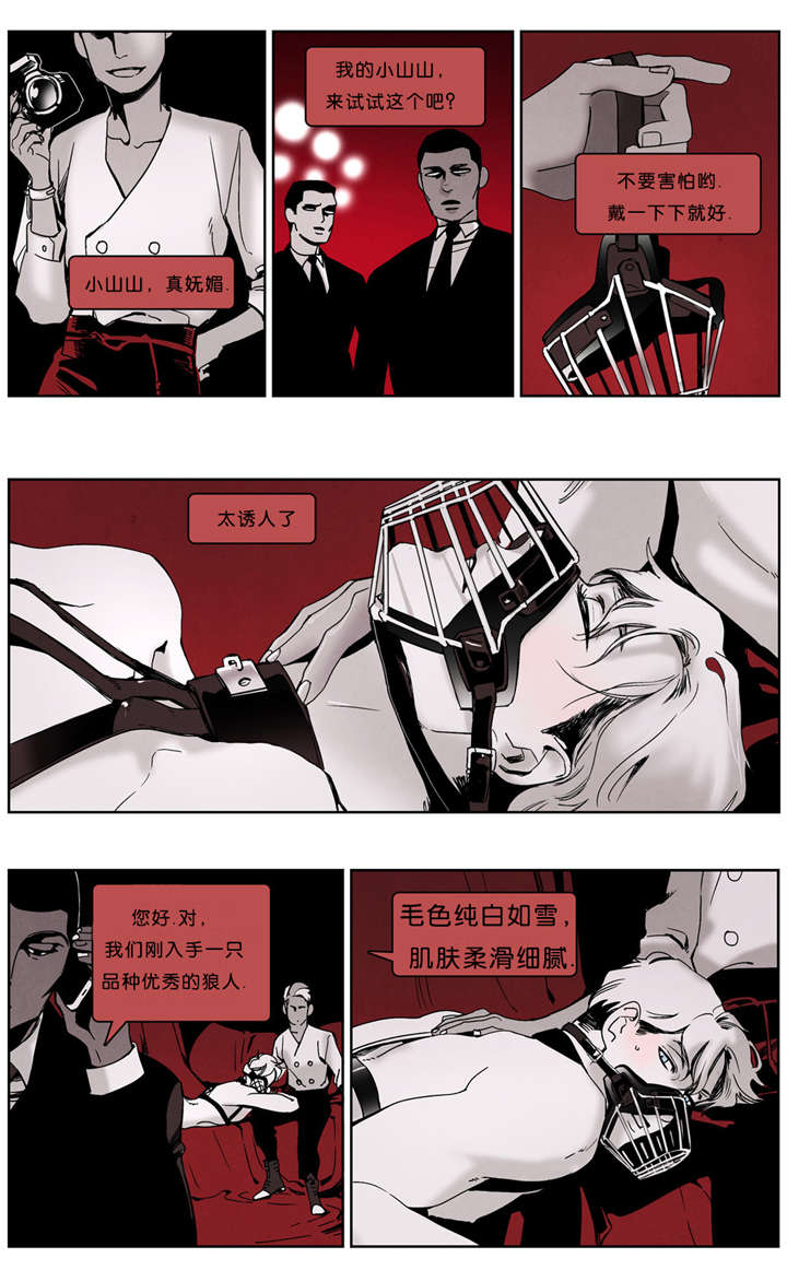 第35章：大老板6