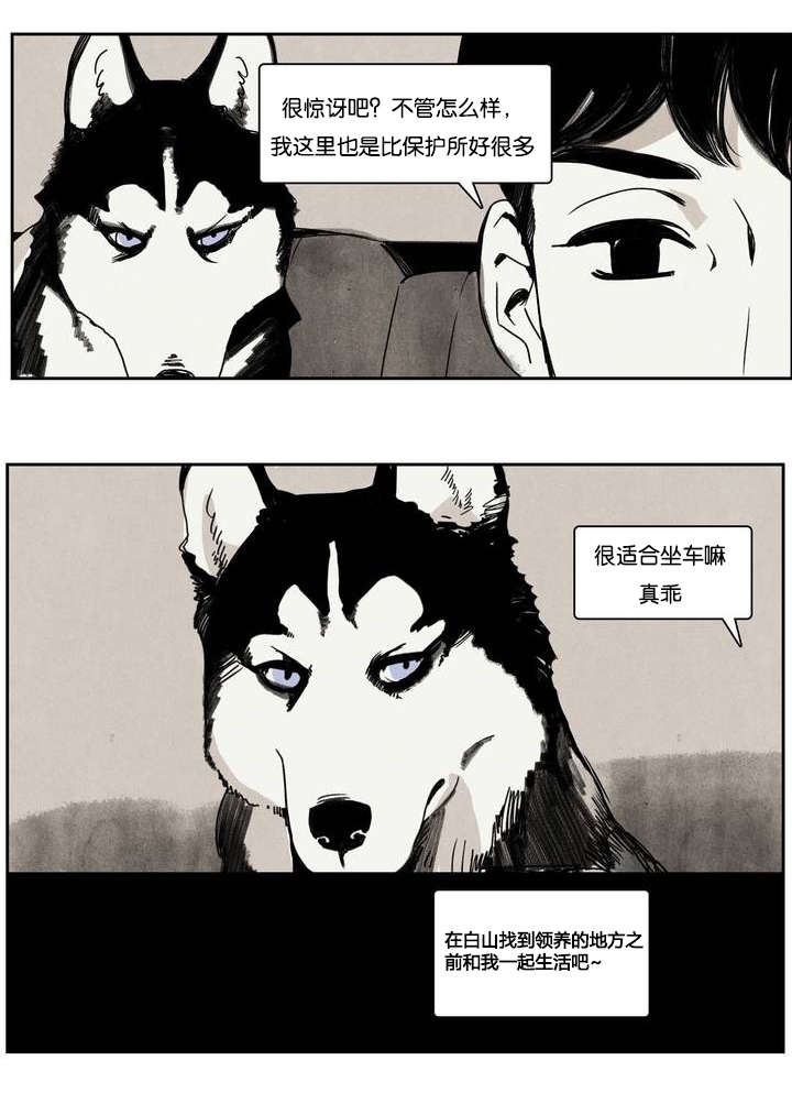 第1章：领狗记14