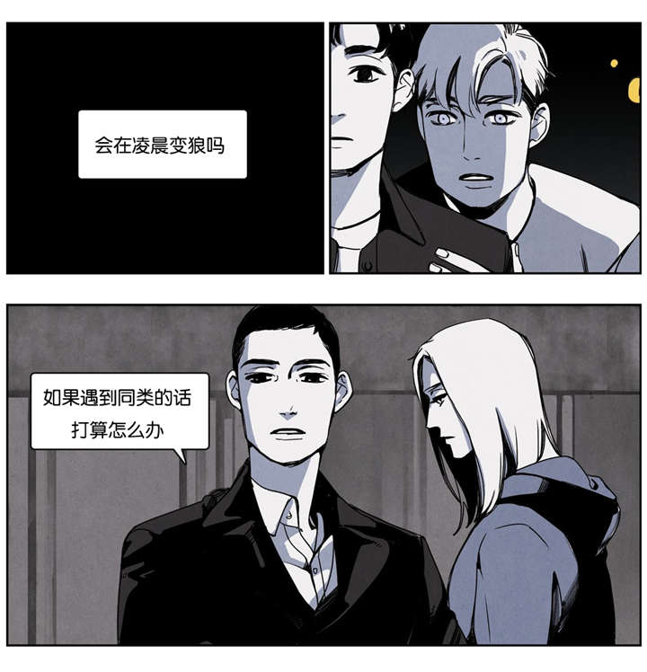 第16章：正面交锋7