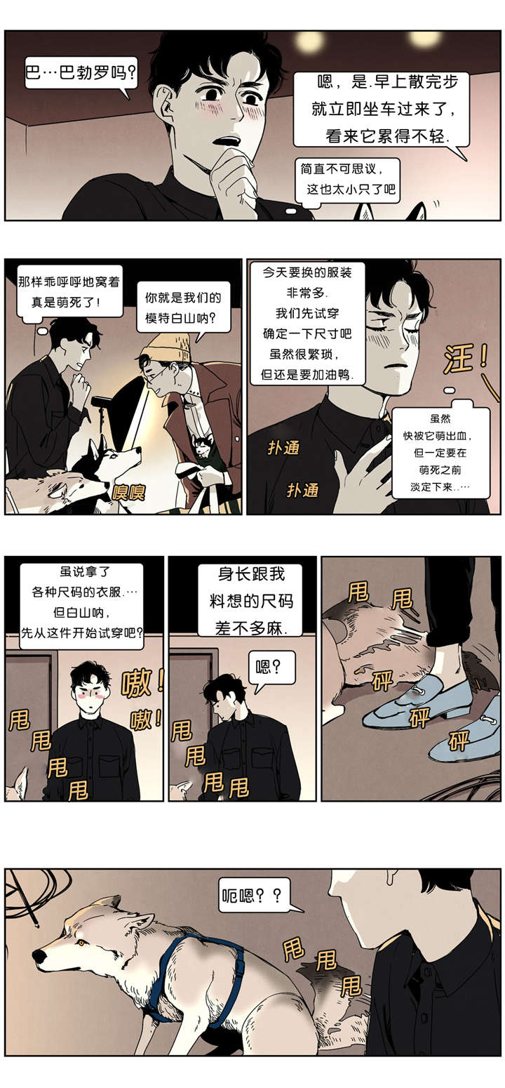 第36章：模特6