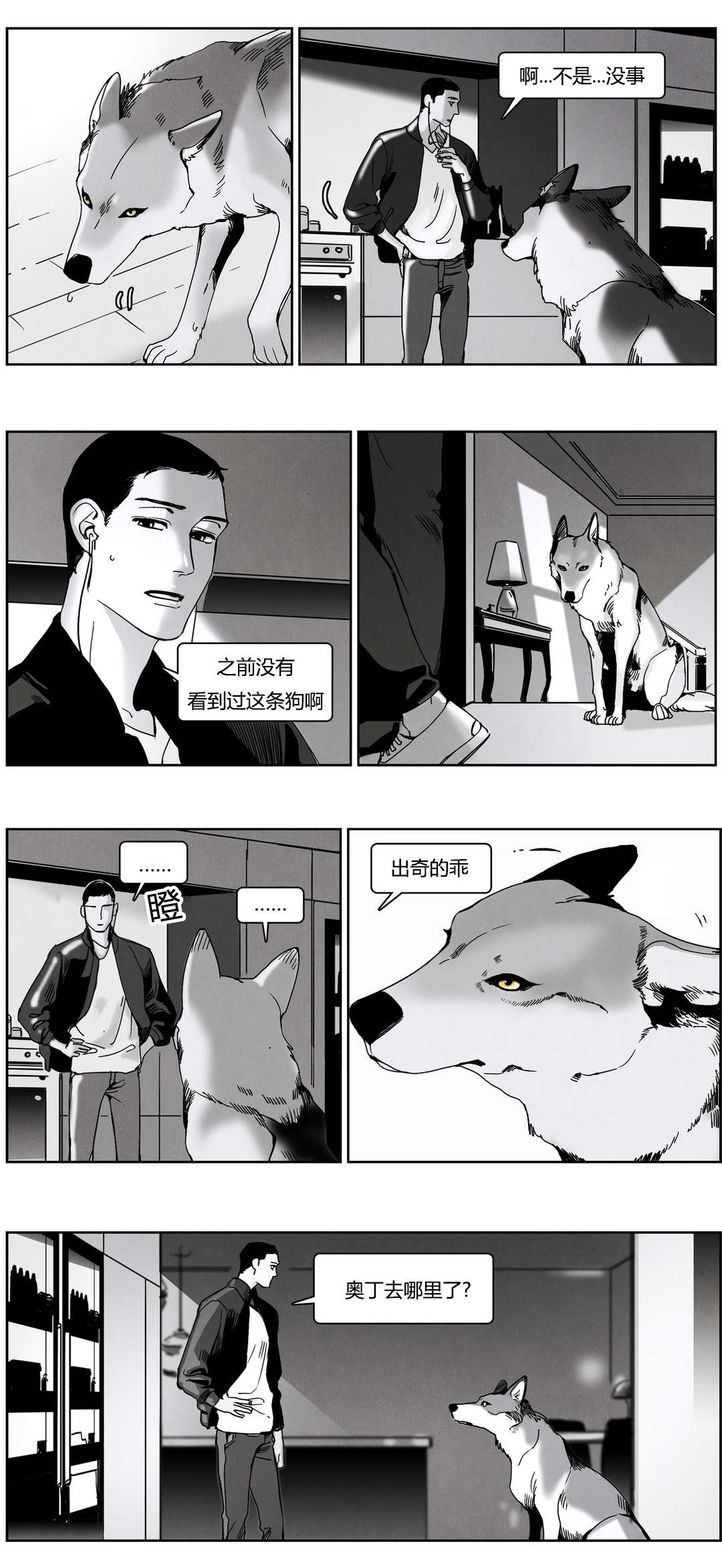 第49章：陌生的狗10