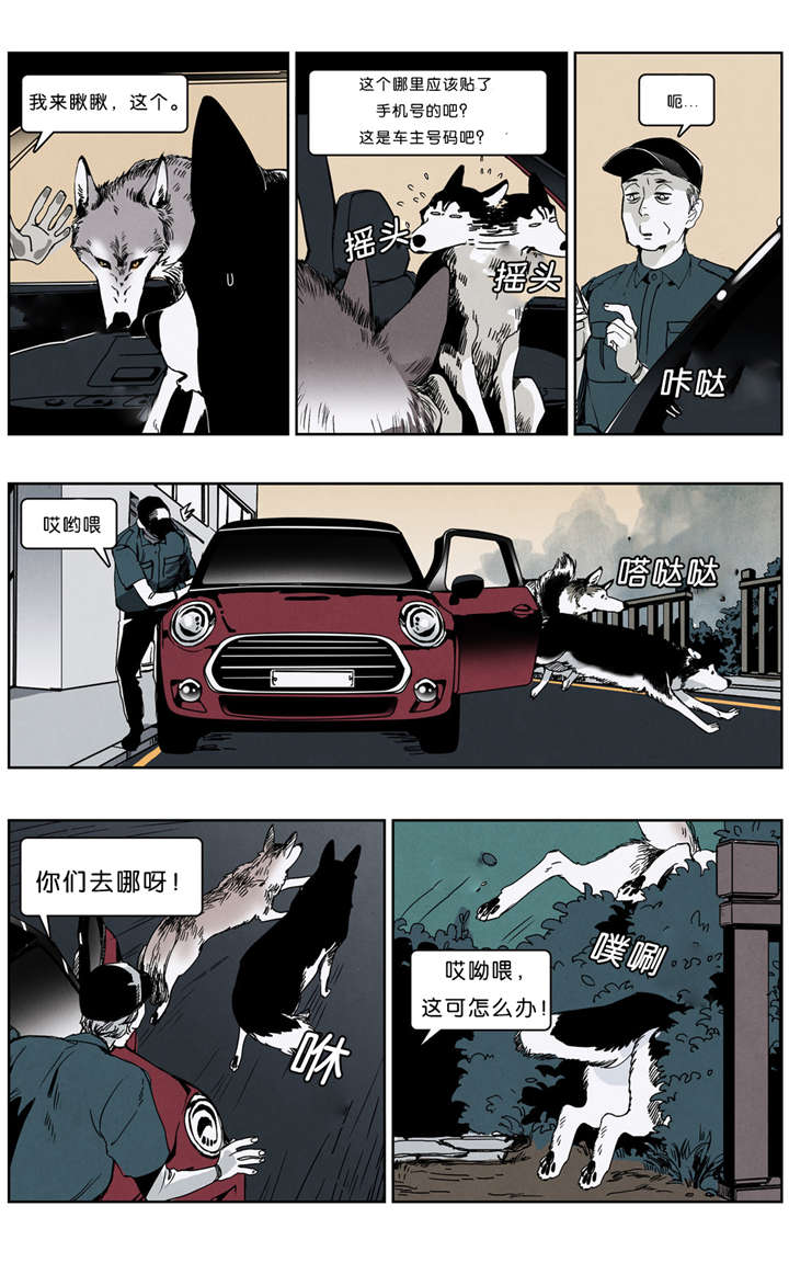 第32章：清除行动12