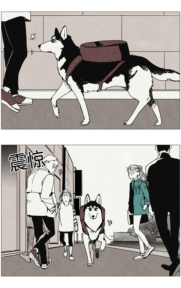 第5章：狗狗寻家记2