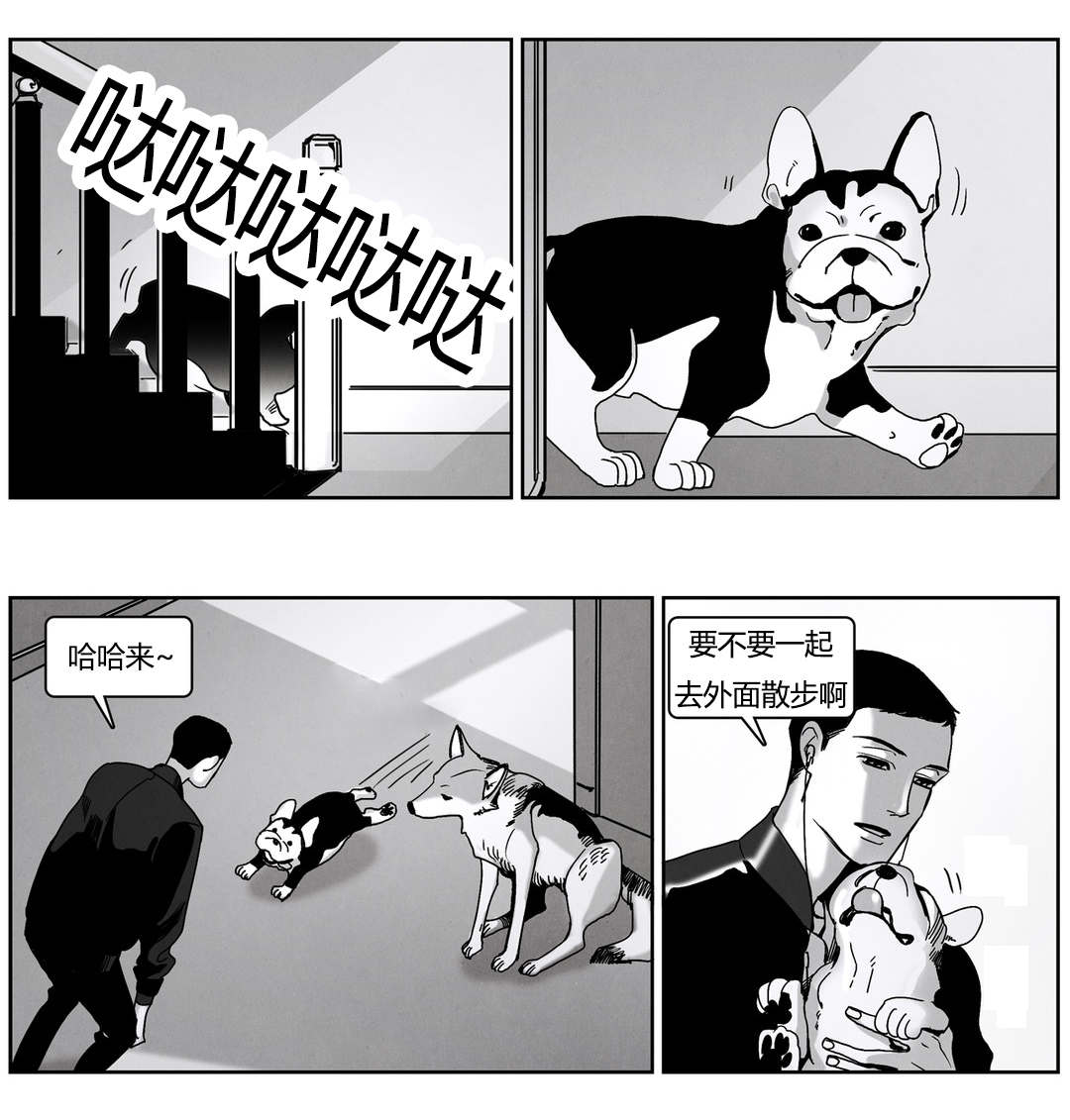 第49章：陌生的狗11