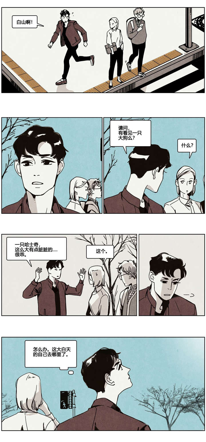 第5章：狗狗寻家记5