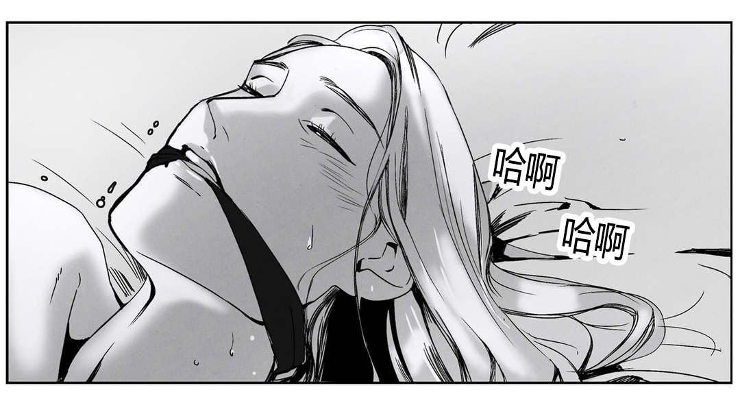 第49章：陌生的狗6