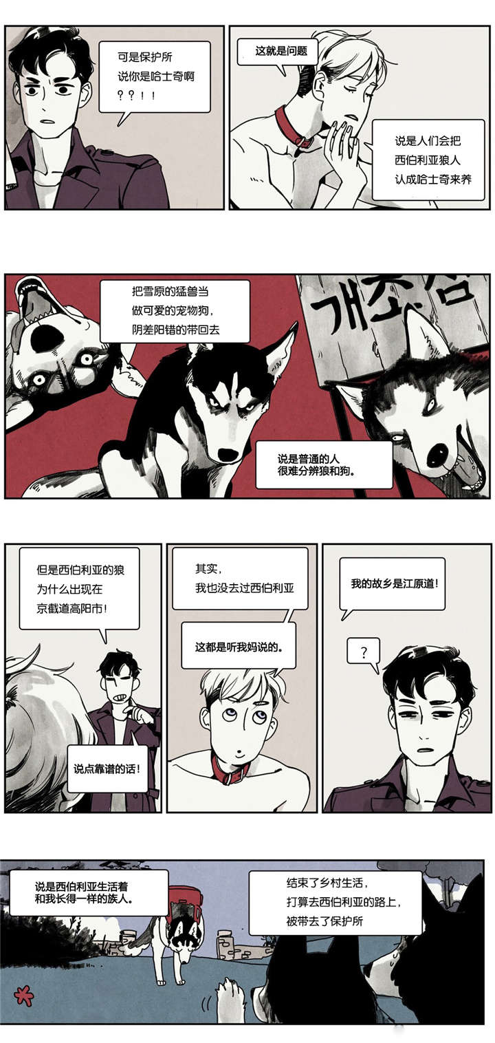 第2章：狼人出现8