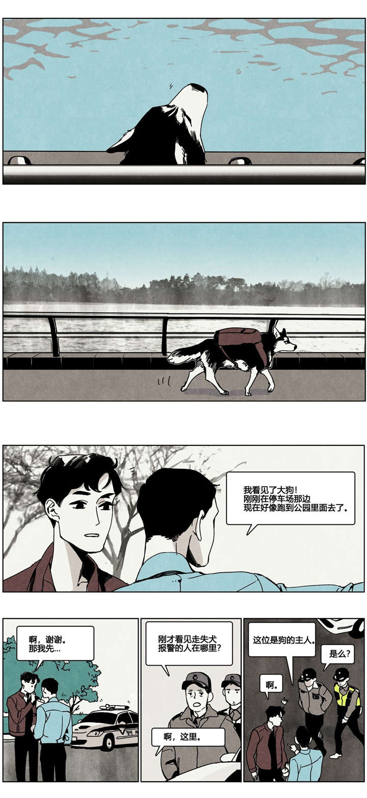 第5章：狗狗寻家记8