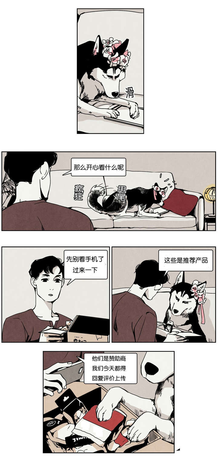 第13章：网络喷子0
