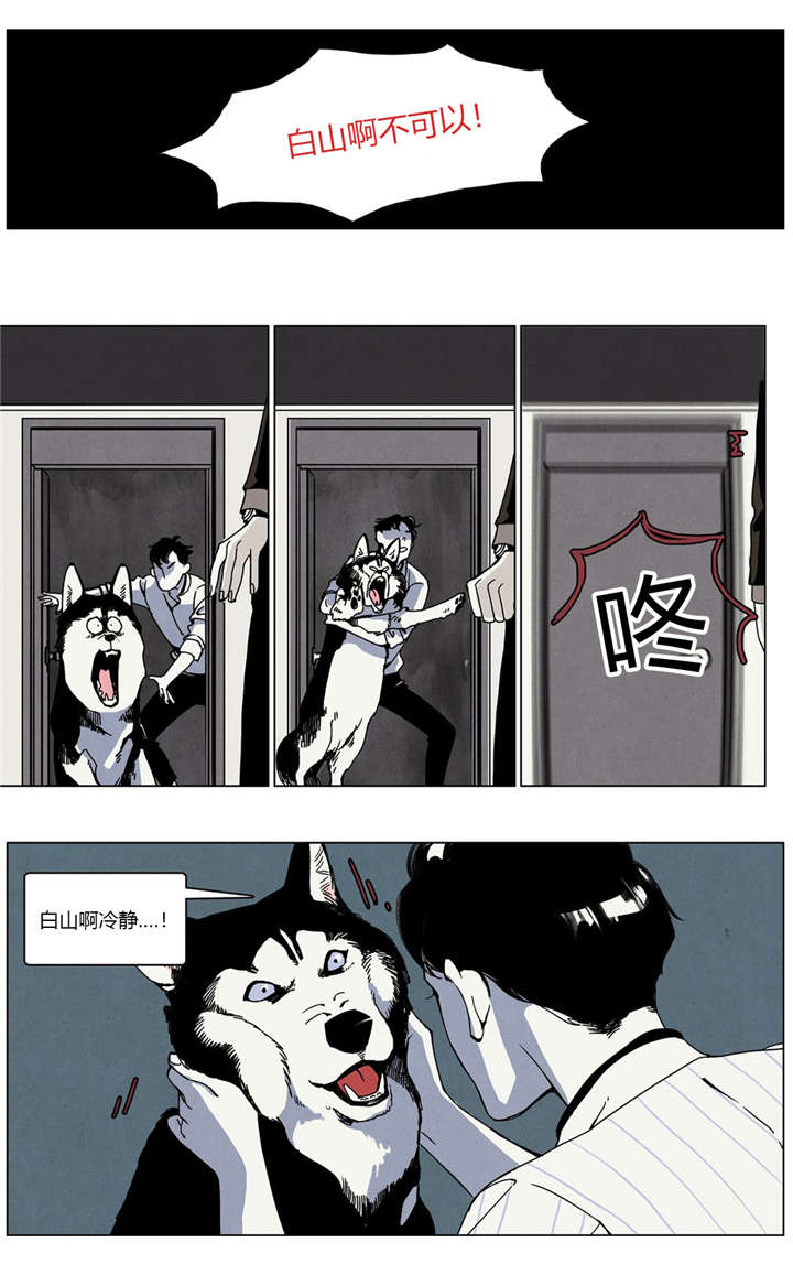 第21章：前任撞上现任10
