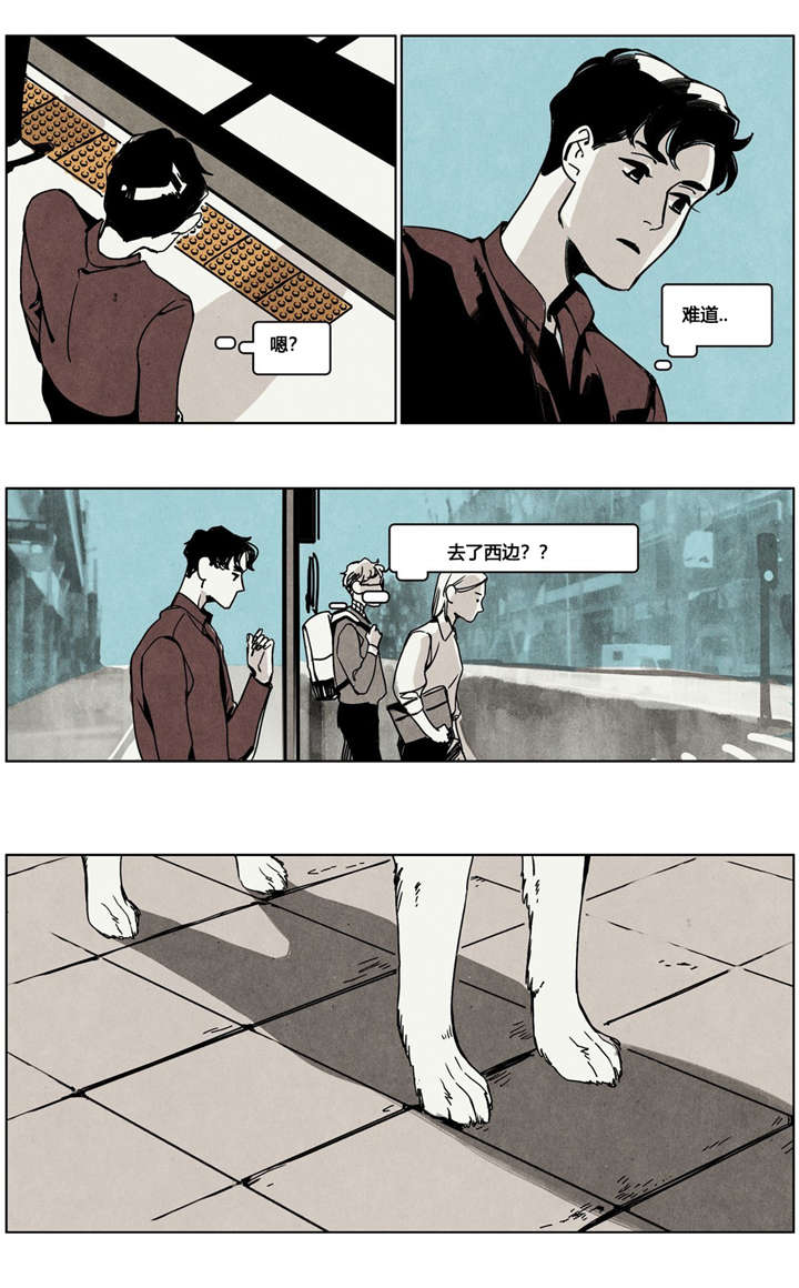 第5章：狗狗寻家记6