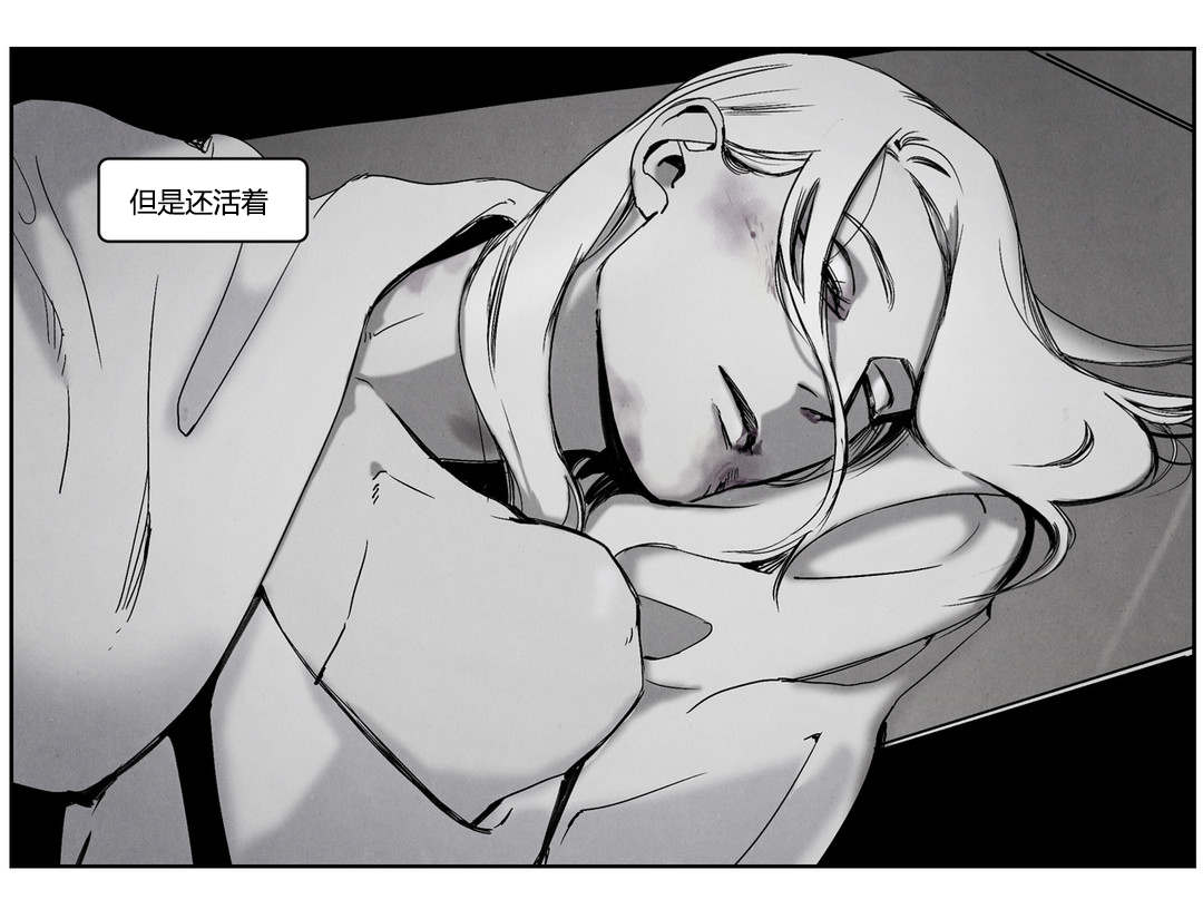第42章：巷中交涉12