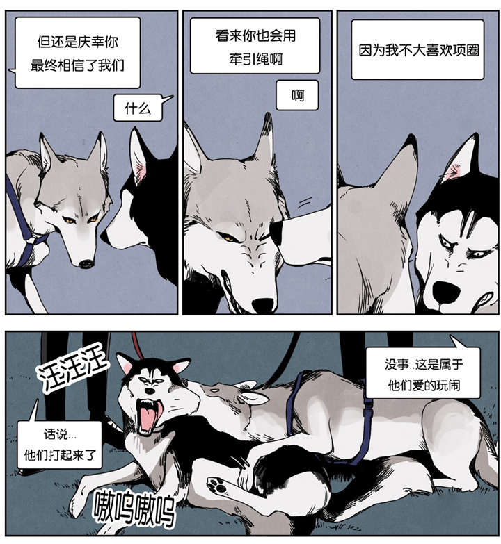 第17章：同是天涯沦落人3