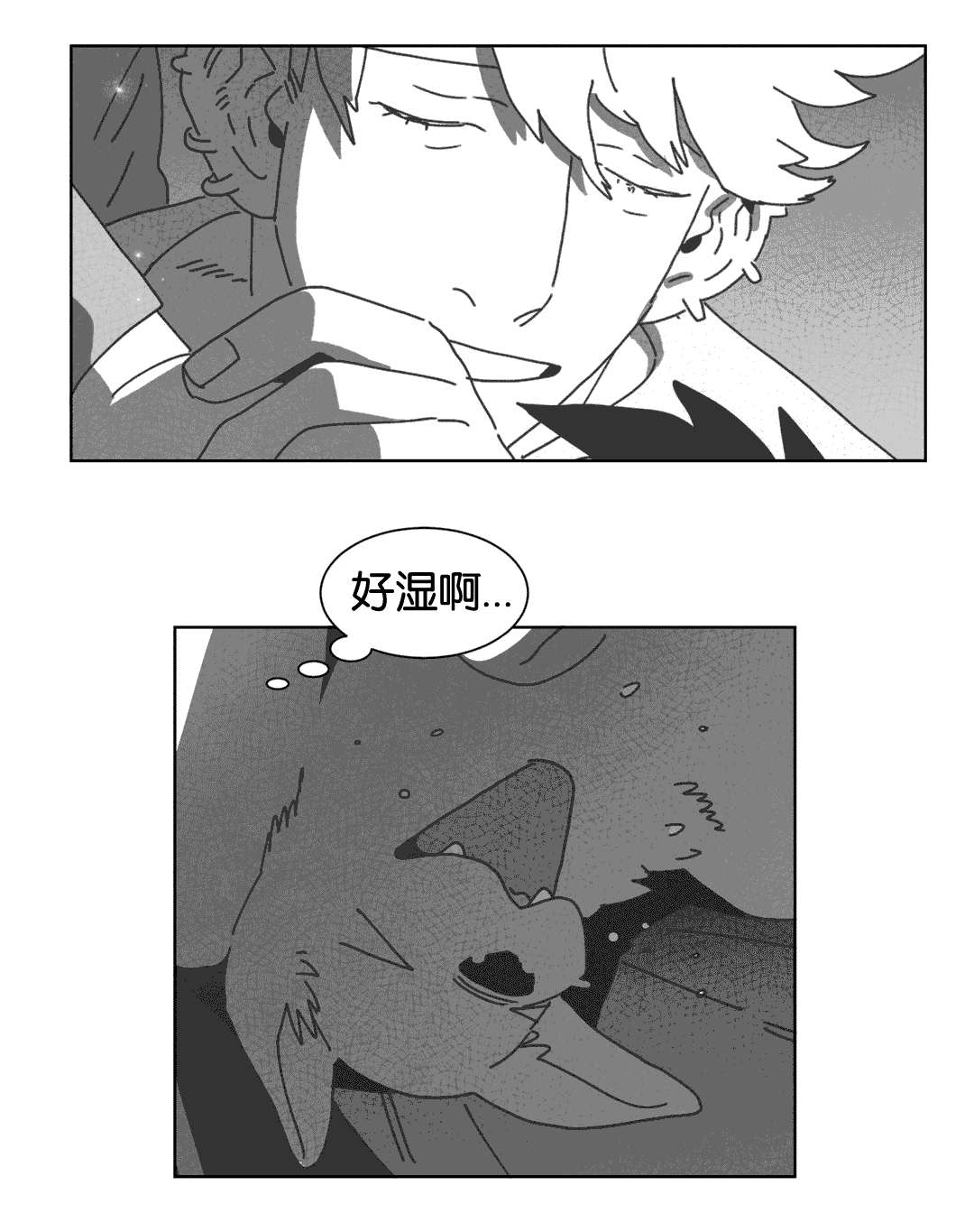 第38章：短信13