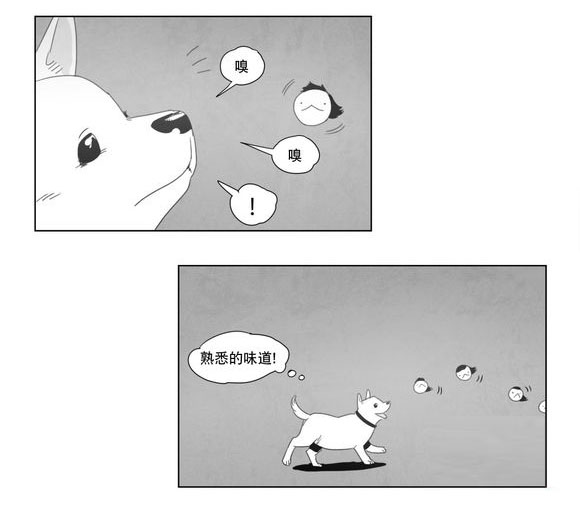 第3章：手指11