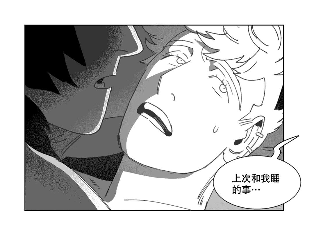 第20章：替代品41